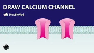 DRAW CALCIUM CHANNEL in Inkscape | Graphical abstract | Inkscape for scientists