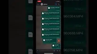Como enviar fotos/vídeos no WhatsApp sem perder a qualidade 
