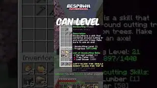 Join the adventure on Respawn SMP! Discord Down Below To Find Out How To Join! #minecraftshorts