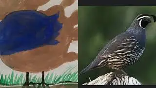 Hand and Foot print Activity for kids: Hand print Quail(Craft-38)