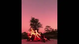 African Sunset Bush sounds at the fire