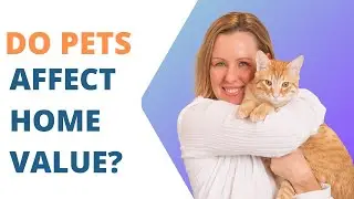 Can Pets Affect Your Home's Value?