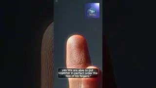 Miracle of Fingerprints Quran&rsquo;s Revelation and Modern Science Uncovered!