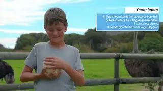 Familiereizen Zuid-Afrika | NRV - Dé rondreisspecialist