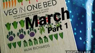 Veg in one bed - Huw Richards - March  2019