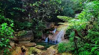 Relaxing River Sounds to Heal the Soul, Calm Emotions and Sleep Peacefully