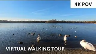 You’ll Fall in Love! Virtual Walk at Öjendorfer Lake, Hamburg | 4K ASMR POV