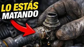 Haz Esto 1 VEZ AL MES y Tu Motor Puede Durar TODA la Vida