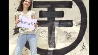 Tokio Hotel's portuguese fans support PETA