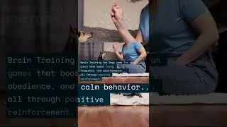 Transform Your Dog&rsquo;s Behavior Without Harsh Training | Brain Training for Dogs