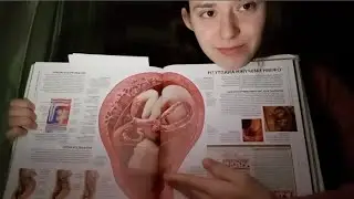 Εγκυμοσύνη ΣΥΓΓΡΑΜΜΑ ASMR SOFTSPOKEN 