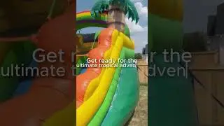 12 Ft Tropical Water Slide Rental | Backyard Bounce KY | Water Slide Rentals Lexington Kentucky