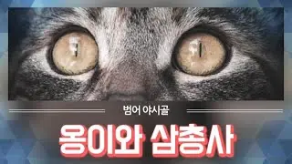 2020. 5. 26 일상(the daily life of cats, повседневная жизнь кошек)