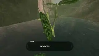 Korok seeds  | Lake of the Horse God | Lake Tower #80 | Zelda BOTW