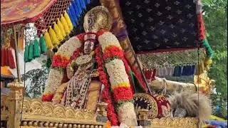 THOOPUL SWAMY VEDANTHA DESIKAR PURAPPADU 