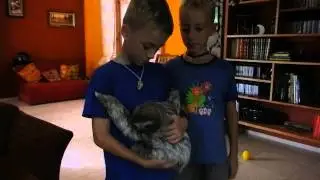 Olie and Finn with orphaned sloth