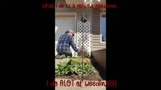 What I do for work!! #gardening #yourmom #mom #momlife #relatable #gardener