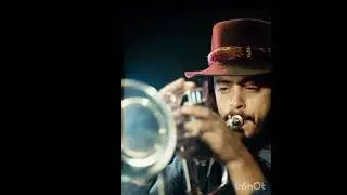 Chuck Mangione - Maui Waui Board Feed 