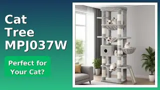 REVIEW (2025): Cat Tree MPJ037W. ESSENTIAL details.