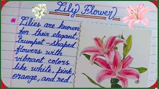 5 Lines Essay on Gorgeous Lily Flower | Essay Lily Flower in English | Beauty of Lily Flowers Essay✨