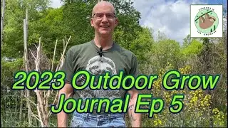 2023 Outdoor Grow Journal Ep 5, Sex Determination Pt 1