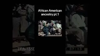 BLACK AMERICAN ANCESTRY🧬#africanamericanhistory #blackamericans #blackhistory #ancestrydna