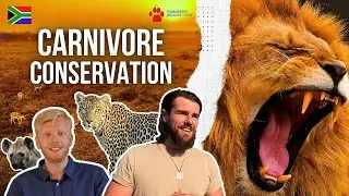Looking For Lions (EWT Special) 🦁🇿🇦 | CHAPTER 6 - Wildlife Adventures