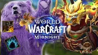 Bears and Pandas Are Just Fun 🙃  |  World of Warcraft Battleground PVP Solo |  1 v X !MAIN
