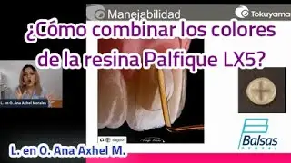 Sabes ¿Cómo combinar los colores de Palfique LX5?