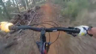 Lake Canobolas Mountain Bike Park