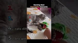 Ranking Best Fast Reflex Moments