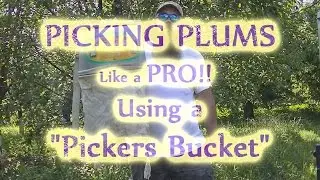 Fruit Picking Bucket