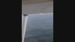 Whale-watching boat sinking caught on camera
