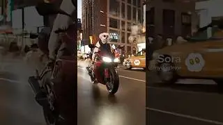 New York City&rsquo;s coolest biker is a dog! 🏍️🕶️ #shorts #sora
