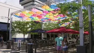 Colorful umbrella exhibit in Coral Gables to come down