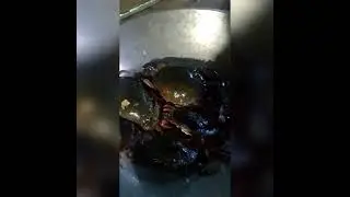 garlic crab with sprite
