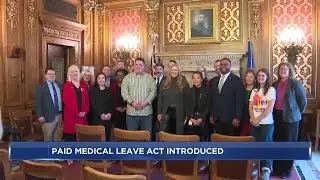 Wisconsin lawmakers call for paid family and medical leave