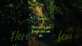 Protect Our Forests || TravelWithNature