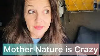 This Spring is brutal so far / Solo Female Nomad Living Full Time on the Road