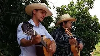THIAGO VIOLA & CARLOS LIMA 