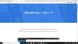 How to Setup Version Control On WordPress Site and Track Everything