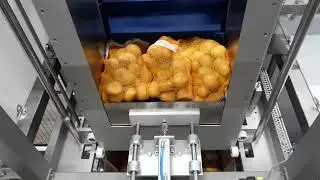 CPS Case Packing Systems - CL86