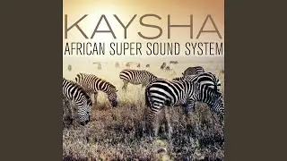 African Super Sound System (YugoZouk Remix)