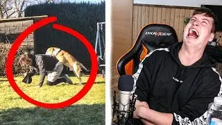 REAGEREN OP DE GRAPPIGSTE  FAILS!