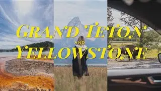Grand Teton and Yellowstone Road Trip | First Time Visiting Both Parks