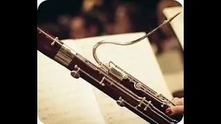 Heure musicale du 18 novembre 2025