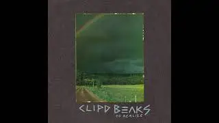 Clipd Beaks - To Realize (2010) 🔨 FULL CD 🔨