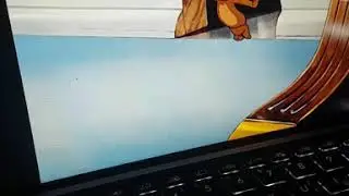 Кот смотрит Tom and Jerry .