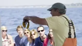 Rugosa Lobster Tours, Kennebunkport, Maine