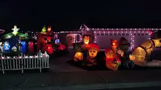 2025 Christmas Light